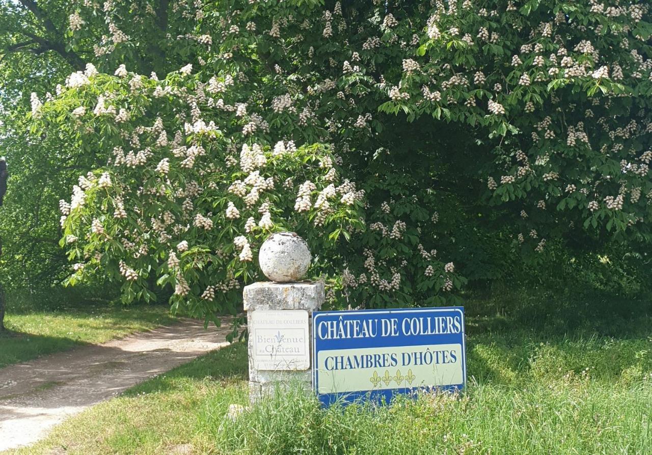 Chateau De Colliers Muides-sur-Loire Εξωτερικό φωτογραφία