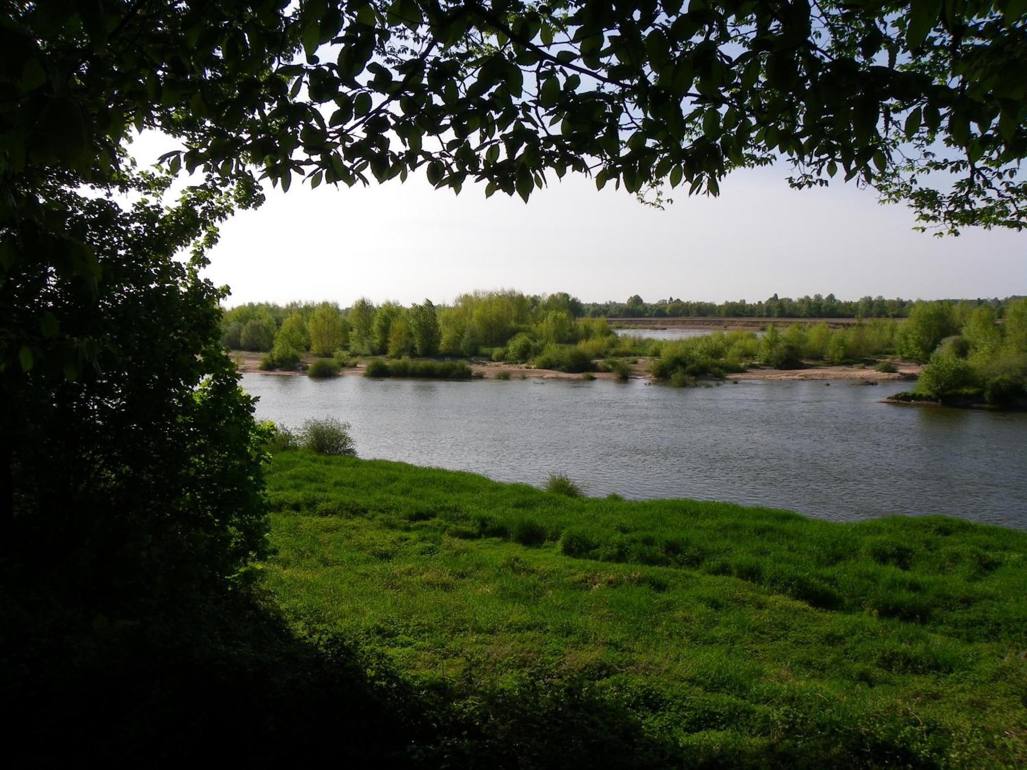 Chateau De Colliers Muides-sur-Loire Εξωτερικό φωτογραφία