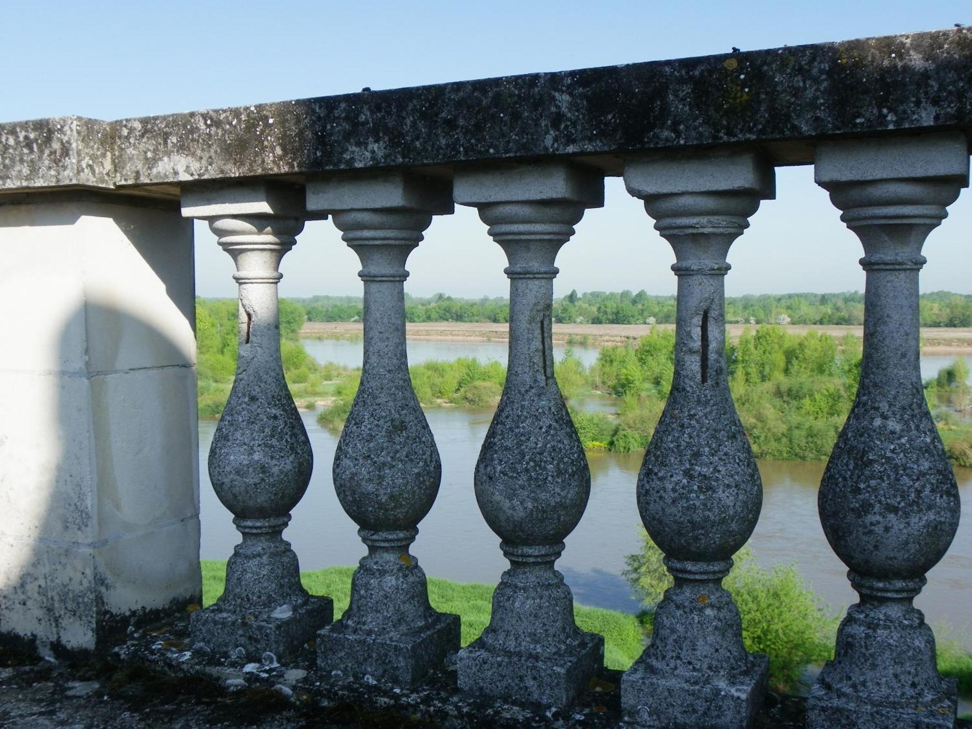 Chateau De Colliers Muides-sur-Loire Δωμάτιο φωτογραφία