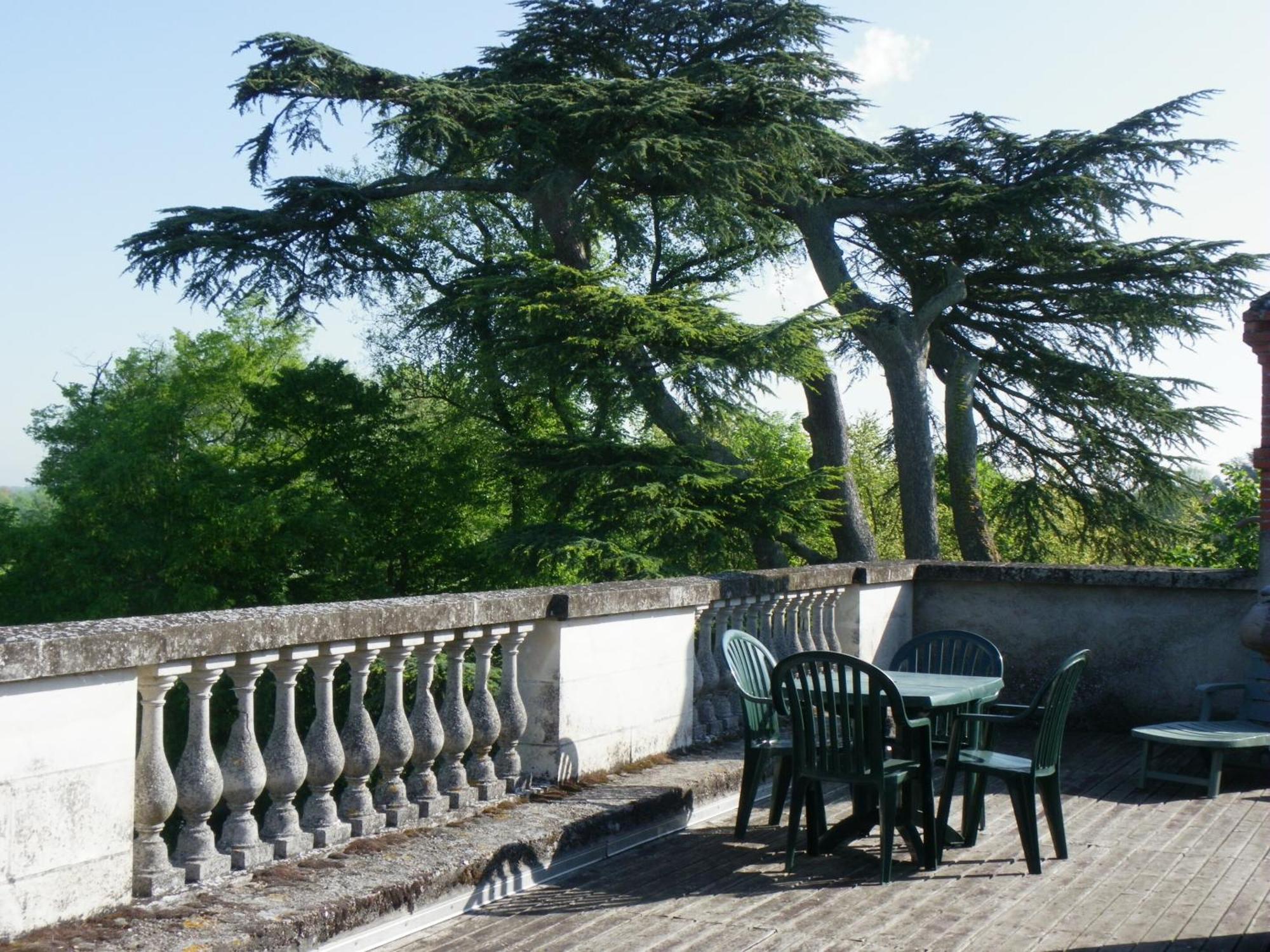 Chateau De Colliers Muides-sur-Loire Δωμάτιο φωτογραφία